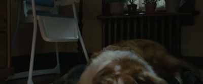 [cutlery clinking] - A Dog's Journey