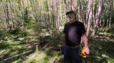 Cutting down these trees
and we're going to let them rot, - Fantastic Fungi