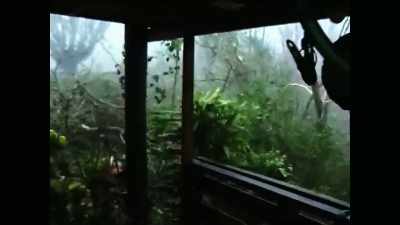 Cyclone Heta
was a Category 5 cyclone that - Protecting Paradise: The Story of Niue