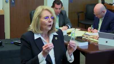 CYNTHIA ROSS: We were asking
them to believe a killer. - Killer Cases