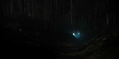 Da vorne. - Dark