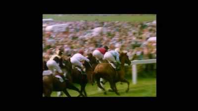 Dad always used to say - Horsepower