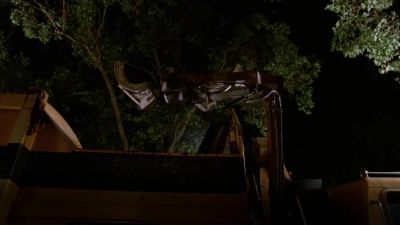 Dad, I followed a possum
that led me out. - Malcolm in the Middle