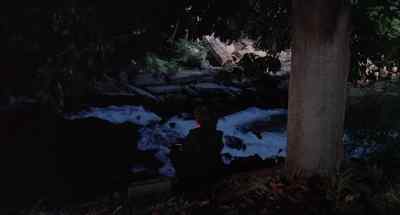 Dad I hope you got the net. - The Boy Who Cried Werewolf