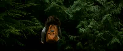 Dad I saw them What's the matterIn the woods They're not bearsWhat do you mean in the woodsBell what the hell were you doing out in the woodsThey're wolves I mean they're like huge wolvesAre you sure about that BellaYeah I just saw them They were after - The Twilight Saga: New Moon