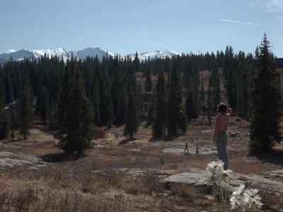 Dad, I'm going to
race you to the plane. - Further Adventures of the Wilderness Family
