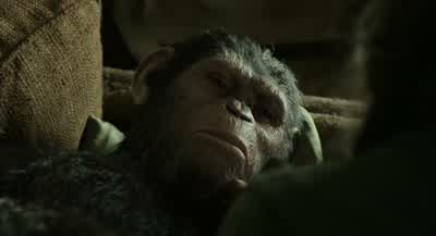 Dad, look. - Dawn of the Planet of the Apes