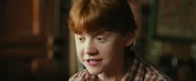Dad loves Muggles thinks they're fascinating - Harry Potter and the Chamber of Secrets