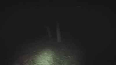 (dad panting)
(crickets chirping) - Project Eerie