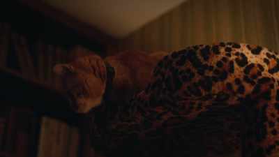 Dad has slept on the couch
since I was ten years old. - Euphoria