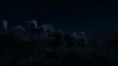 - Dad? - Uh-huh? - The Lion King