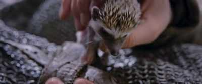 - Daddy!
- Look what I found outside. - Furious