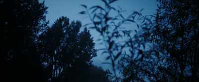 Daddy? Where are you? - Winnie-the-Pooh: Blood and Honey 2
