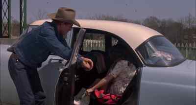 Dadgummit, Doo, wait a minute!
People can see in here. - Coal Miner's Daughter