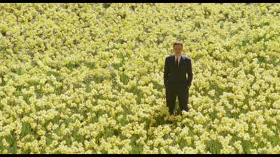 -Daffodils! - Big Fish