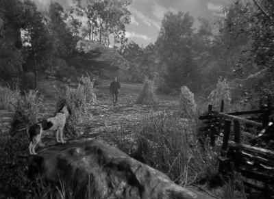 Daisy Bell! - Moonrise