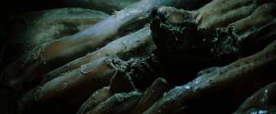 Dallas: Bones are bent outward,
like he exploded from inside. - Memory: The Origins of Alien