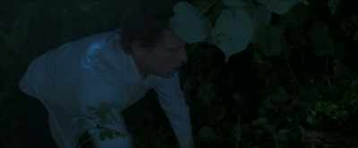 -Damian...
-[mobile vibrating continues] - The Bayou