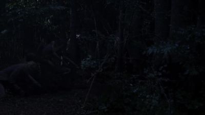 Dammit. - The Walking Dead