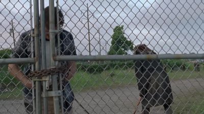 Dammit! - The Walking Dead