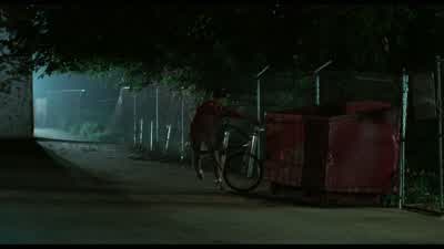 I hate this frigging bike This stupid bikeGod I hate itDaniel what's the matter NothingWhy did you throw your bike away Because I felt like itHey look at me when I'm talking to you Oh my godMa Oh my godWould you tell me what's going on here and don't tell - The Karate Kid