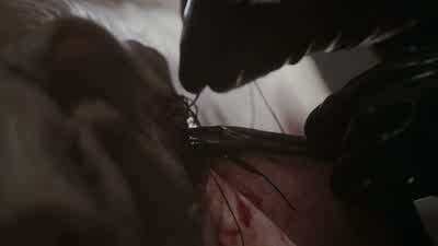 Damn it, Charles, are you down in the basement again? - American Horror Story