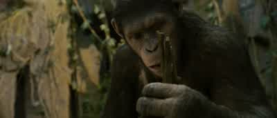 Damn it, Rodney, You leave the hose out in the atrium, again? - Rise of the Planet of the Apes