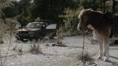 Damn it. - The Walking Dead