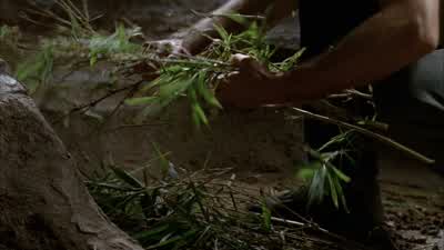 Damn it. - Lost
