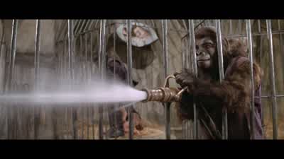 Damn you! - Planet of the Apes