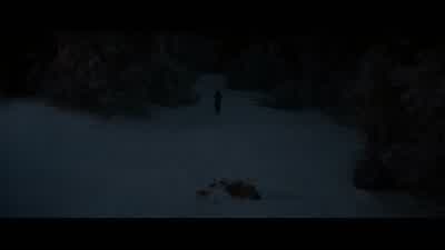 Damnatio Memoriae. - Teen Wolf