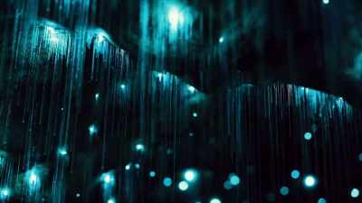 - [Dan] Also known
as the glow worm, - The UnBelievable with Dan Aykroyd