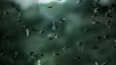 - [Dan] Despite this
initial success, - The UnBelievable with Dan Aykroyd