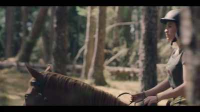 - DAN: I can't believe the
Kauri Point herd still exists. - Mystic