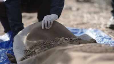 DAN:
I'm sure as heck we found her. - Buried In The Backyard