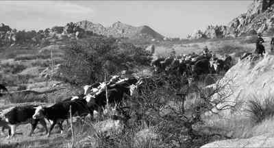 Dan... - 3:10 to Yuma