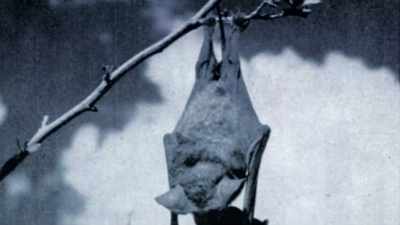 - [Dan] Six unlucky bats - The UnBelievable with Dan Aykroyd