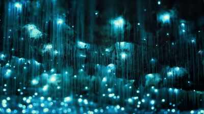 - [Dan] Their radiance is
quite literally captivating. - The UnBelievable with Dan Aykroyd