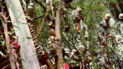 - [Dan] Thousands of
dolls hung from trees? - The UnBelievable with Dan Aykroyd