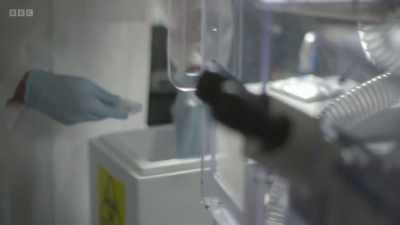 Dan uses advanced microscope
technology to watch - The Human Body: Secrets of Your Life Revealed