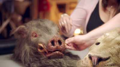 DAN: While Beth got her hands furry,
I mean, dirty, - Prop Culture