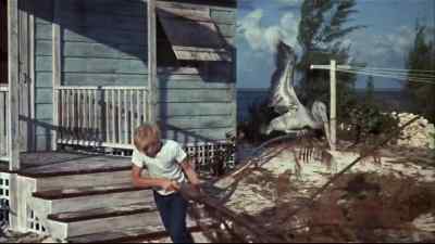 Dang you, Pete. - Flipper