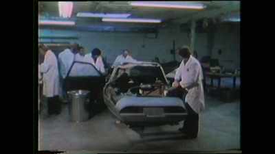 DANGAARD: They are working, - The Lady and the Dale
