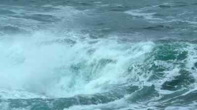 Danger in the ocean
doesn't only come from deadly hunters. - Prehistoric Planet