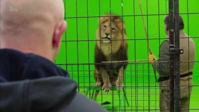 Dangerous wild animals in the UK - Britain's Tiger Kings - On the Trail with Ross Kemp