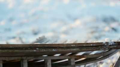 DANIEL: Bartering is very
important among the village. - Life Below Zero: First Alaskans