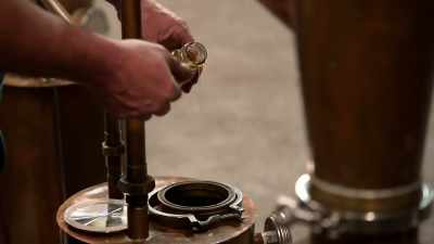 [daniel] so far, richard,
I put peaches, - Moonshiners: Master Distiller
