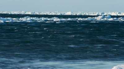 (Daniel groans) - Life Below Zero: First Alaskans