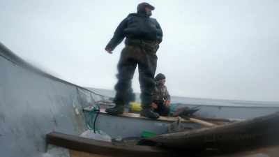 DANIEL: If you have a walrus
on a harpoon line, you know, - Life Below Zero: First Alaskans