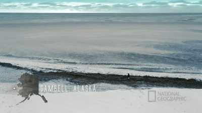 DANIEL: I'm
looking for, uh, seafood - Life Below Zero: First Alaskans